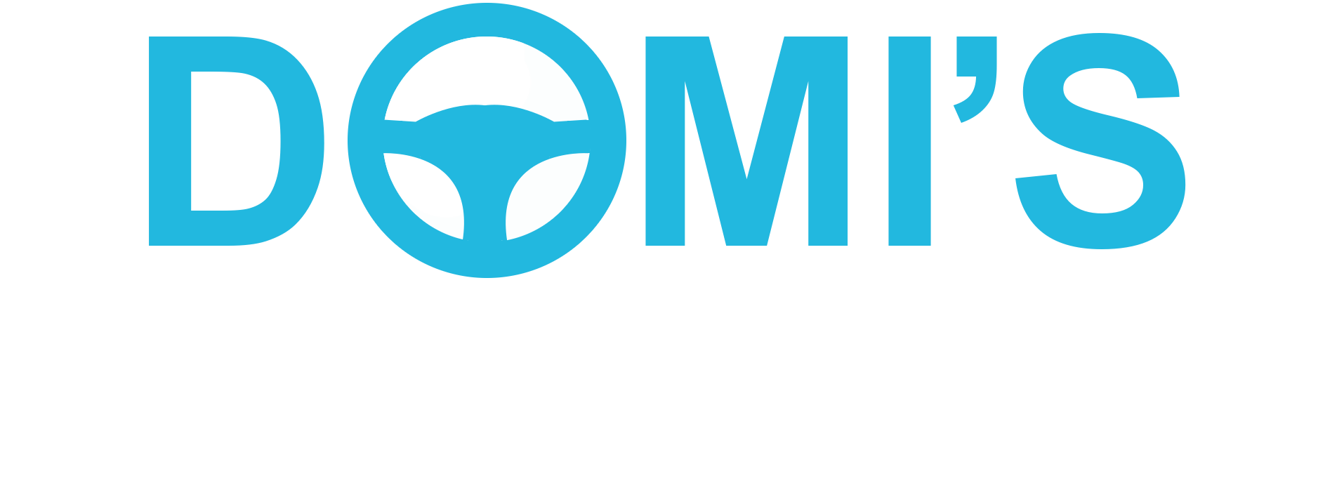 Domis Fahrschule